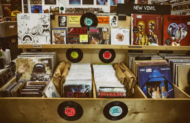 fake vinyl records
