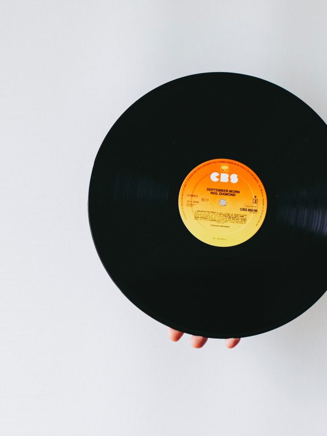 What Are Vinyl Records?